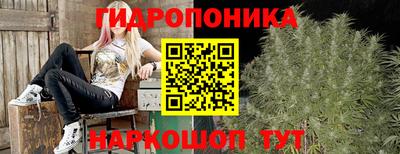 прущие грибы Волжск