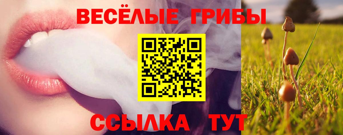 Ростов-на-Дону  Псилоцибиновые грибы GOLDEN TEACHER  купить наркоту  Вход с VPN 